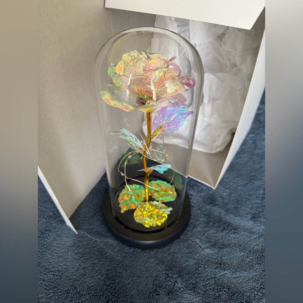 NWT gift lamp light-up rise in the original box